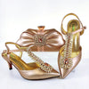 2021 Lastest Noble and Elegangt Fashionable Special Style Shoes and Bag Set